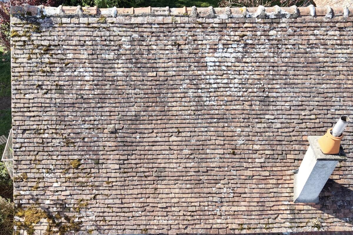 Versant Nord d'une toiture largement colonisé par des lichens blancs et des mousses, vu par drone